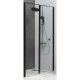 Душевая дверь Allen Brau Priority 100 3.31030.BBA профиль Черный браш