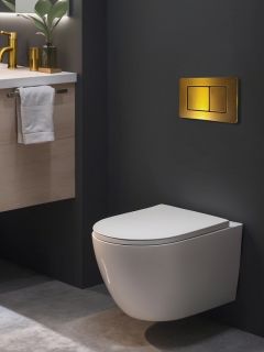 Кнопка смыва AltroBagno Beni aggiuntivi PFP 003GQ золото матовое