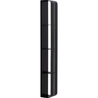 Полка Aquanet Магнум 302226 100 см чёрный матовый