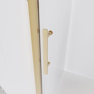 Душевая дверь Veconi Evo 100 G, 1600x1950, золото брашинг, стекло прозрачное