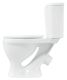 Унитаз-компакт Sanita Формат Стандарт белый