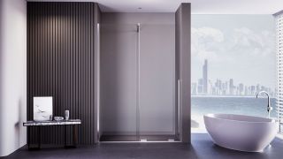 Душевая дверь Veconi Premium Trento PTDW-50CH, 1200x2000, хром, стекло прозрачное