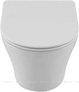 Унитаз подвесной Aquanet ZVEZDA ZV-3 336319 белый