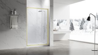 Душевая дверь Veconi Vianno VN-55G, 1000x1950, Золото брашинг, стекло прозрачное